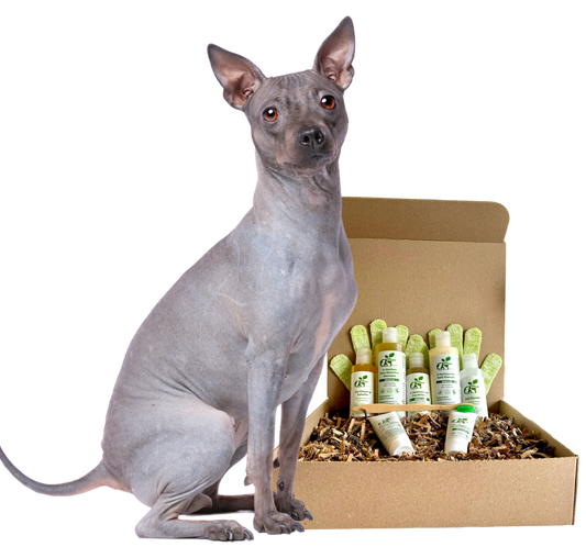 Restorative Skin Care & Grooming Kit for Hairless Dogs