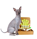 Restorative Skin Care & Grooming Kit for Hairless Dogs