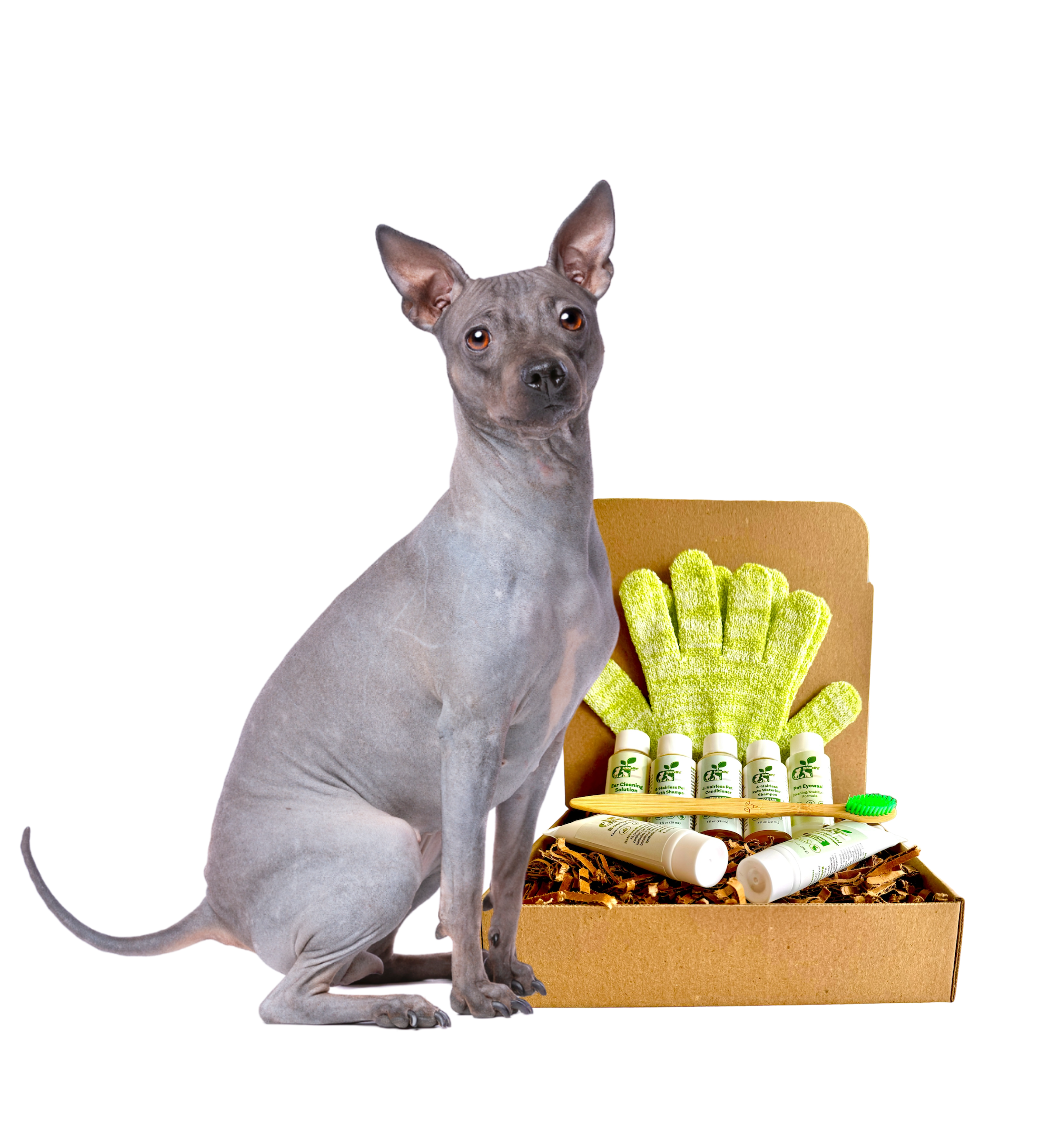 Restorative Skin Care & Grooming Kit for Hairless Dogs