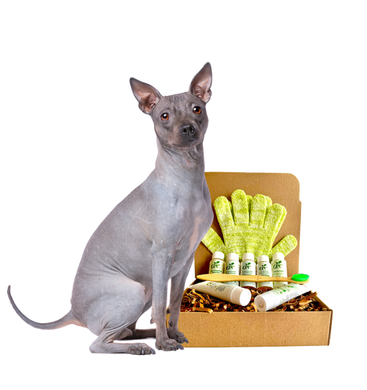 Restorative Skin Care & Grooming Kit for Hairless Dogs