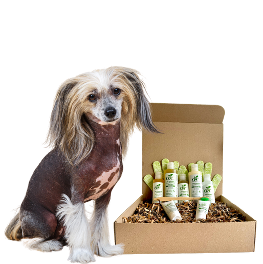 Sensitive Skin Grooming Kit for Hairless Dog Care