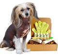 Sensitive Skin Grooming Kit for Hairless Dog Care