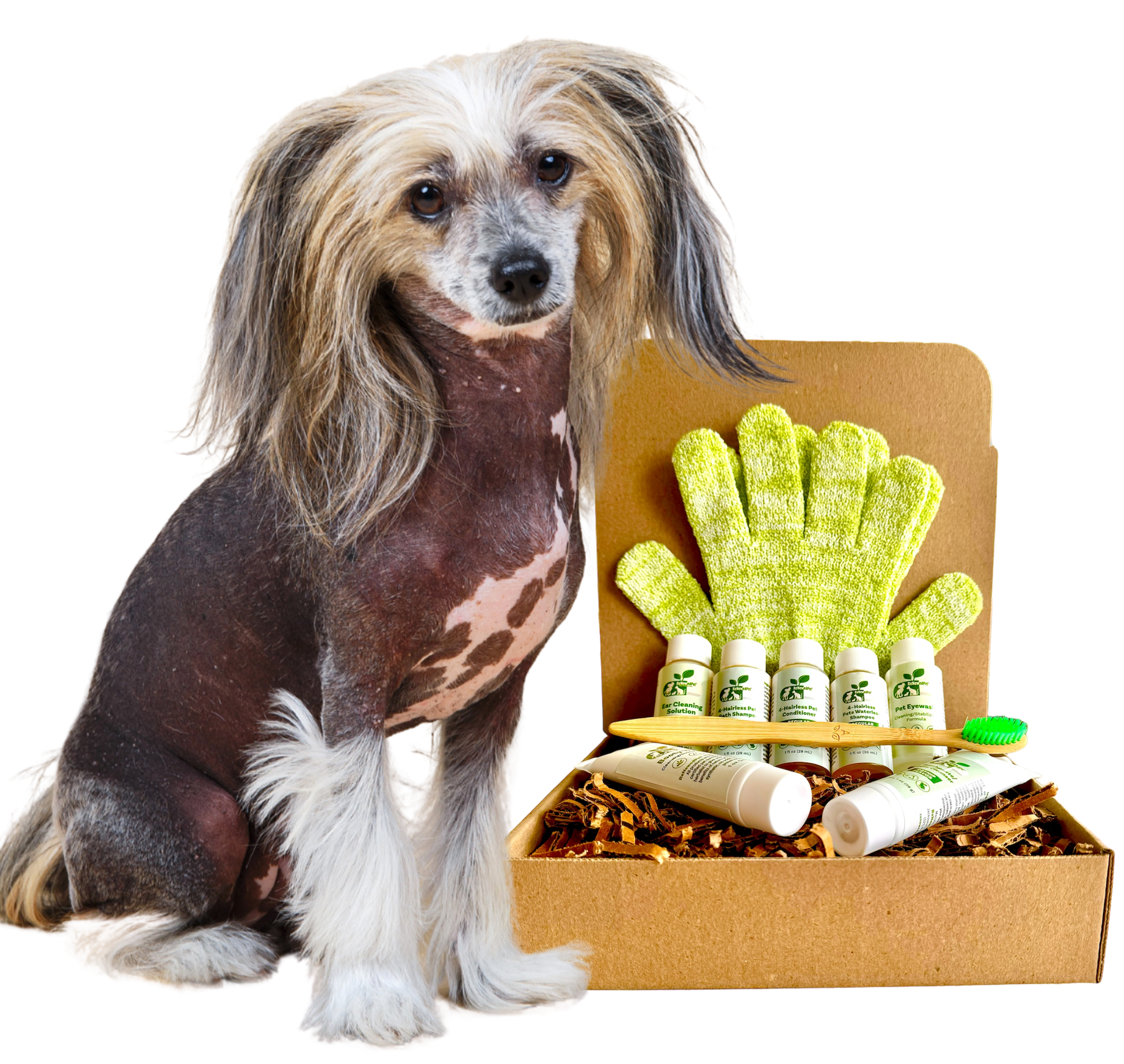 Sensitive Skin Grooming Kit for Hairless Dog Care