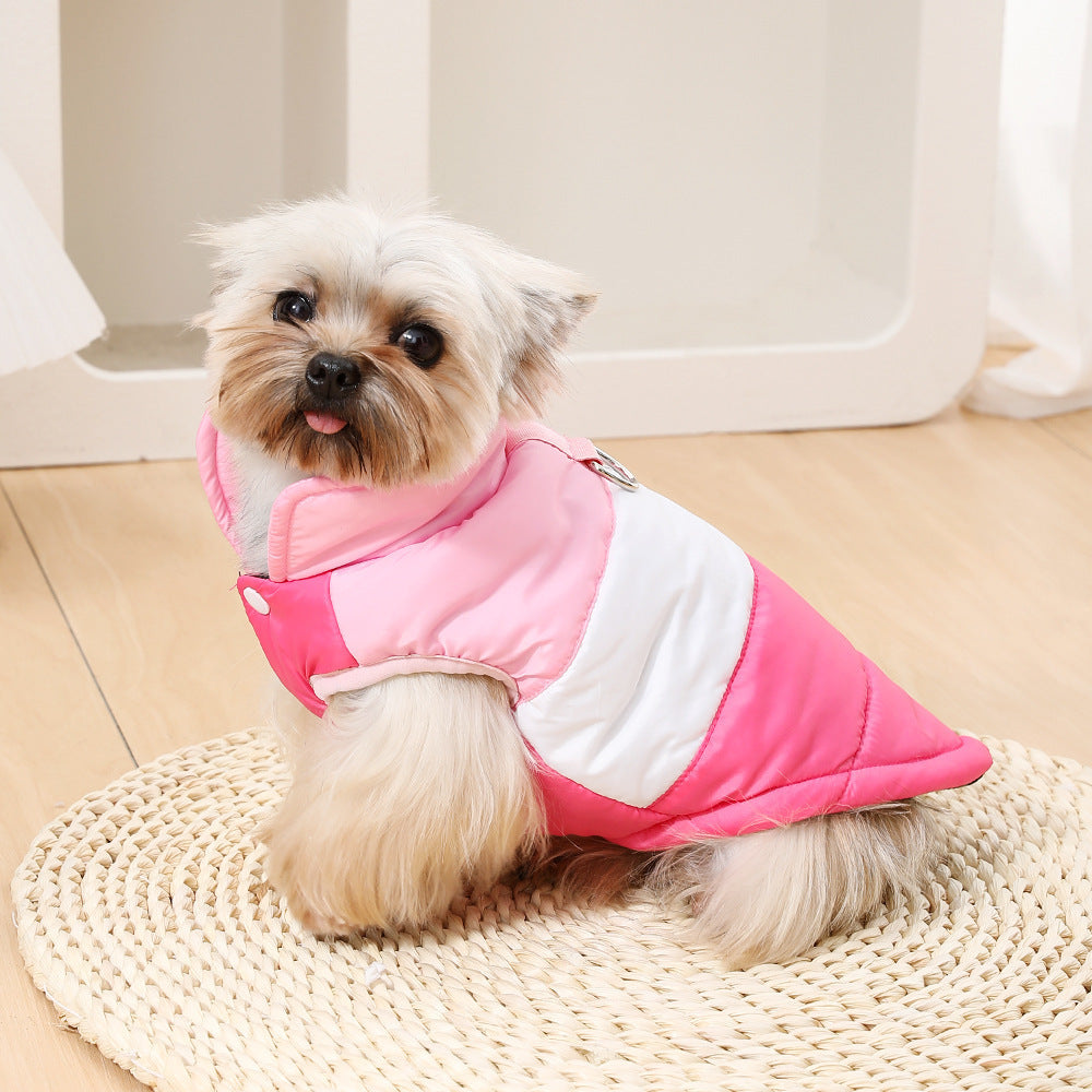 Pet Product - Premium Pet Accessory