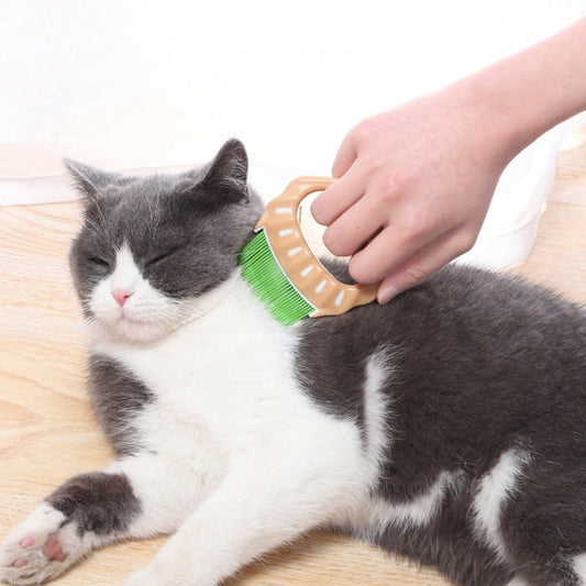 Pet Dog Cat Combs Shell Shaped Hair Remover Brush Pet Grooming Tools Dog Massage Comb Brush For Remove Pet Cat Loose Hairs | Purrfect Pet Kingdom