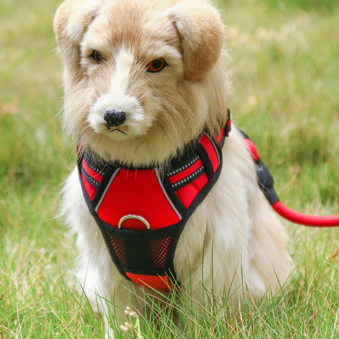 Explosion-Proof Pet Leash With Reflective Harness - Majestic Pet Kingdom