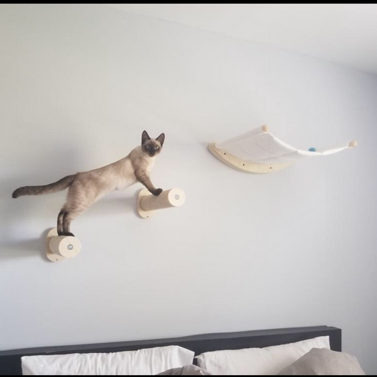 Cat Wall Shelves Solid Wood Mounted Climbing Frame with Bed