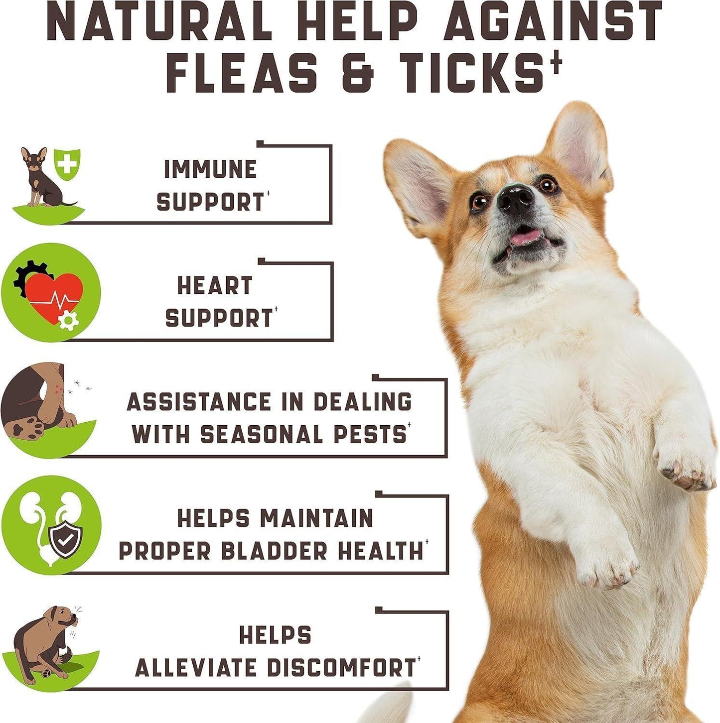 Flea & Tick Chews for Dogs - Duck Flavor 180 Count