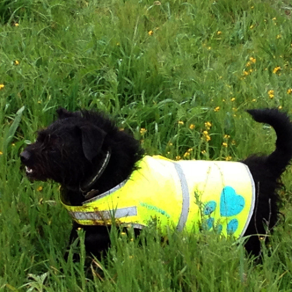Reflective Dog Safety Vest Hi-Vis S Size 24.5 in Chest x 17 in Neck Yellow - Majestic Pet Kingdom