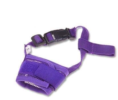 Luxury Pet Essentials - Purrfect Pet Kingdom™