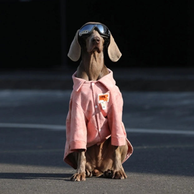 Dog Clothes For Large Breeds Labrador - Majestic Pet Kingdom