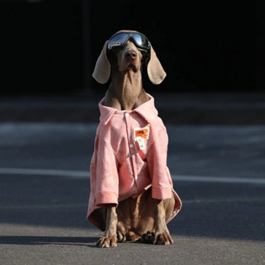 Dog Clothes For Large Breeds Labrador - Majestic Pet Kingdom