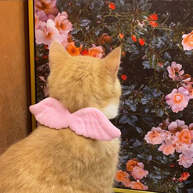 Luxury Pet Essentials - Purrfect Pet Kingdom™