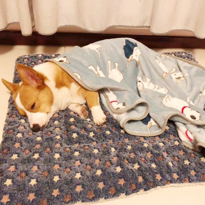 Thickened Pet Mat For Autumn And Winter Warmth - Majestic Pet Kingdom