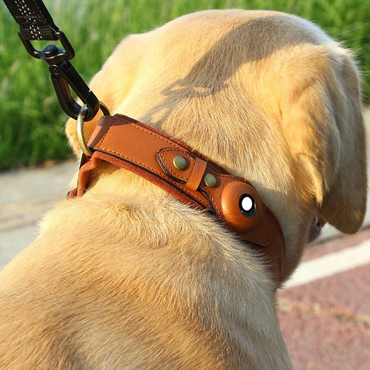 Location Tracker First Layer Leather Dog Pet Collar Ergonomic Walking | Majestic Pet Kingdom™