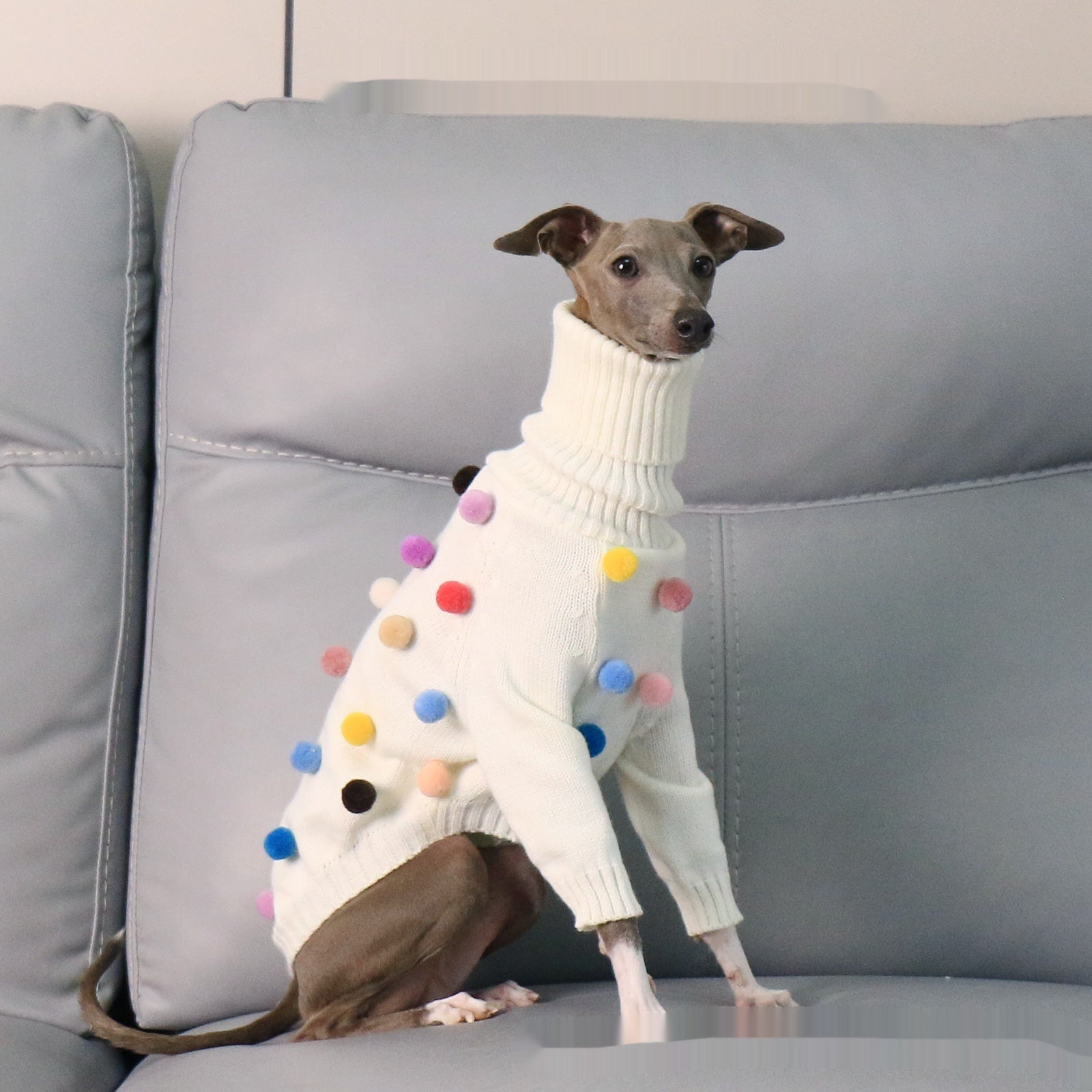 Pet Product - Premium Pet Accessory