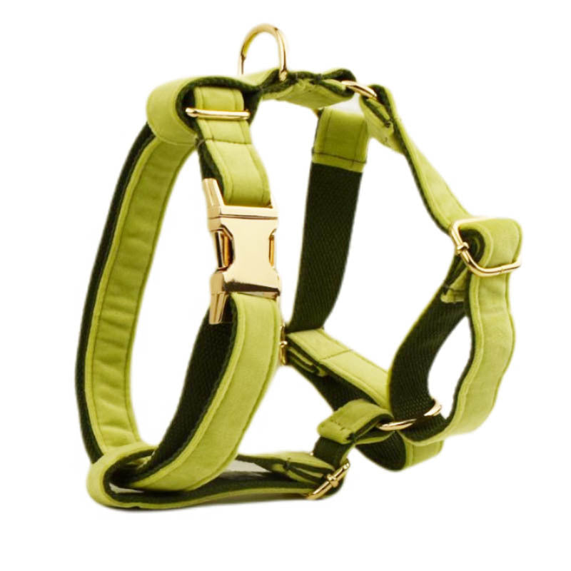 Luxury Pet Essentials - Purrfect Pet Kingdom™