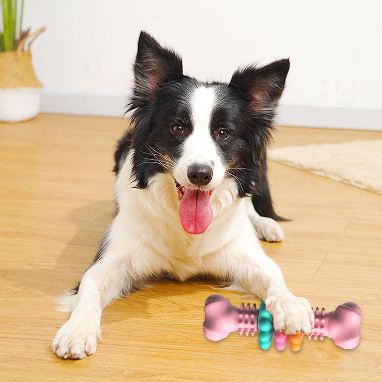 Dog Chew Toy TPR Rubber Bone Indestructible Dental Teething Play - Detail Angle 6 | Majestic Pet Kingdom
