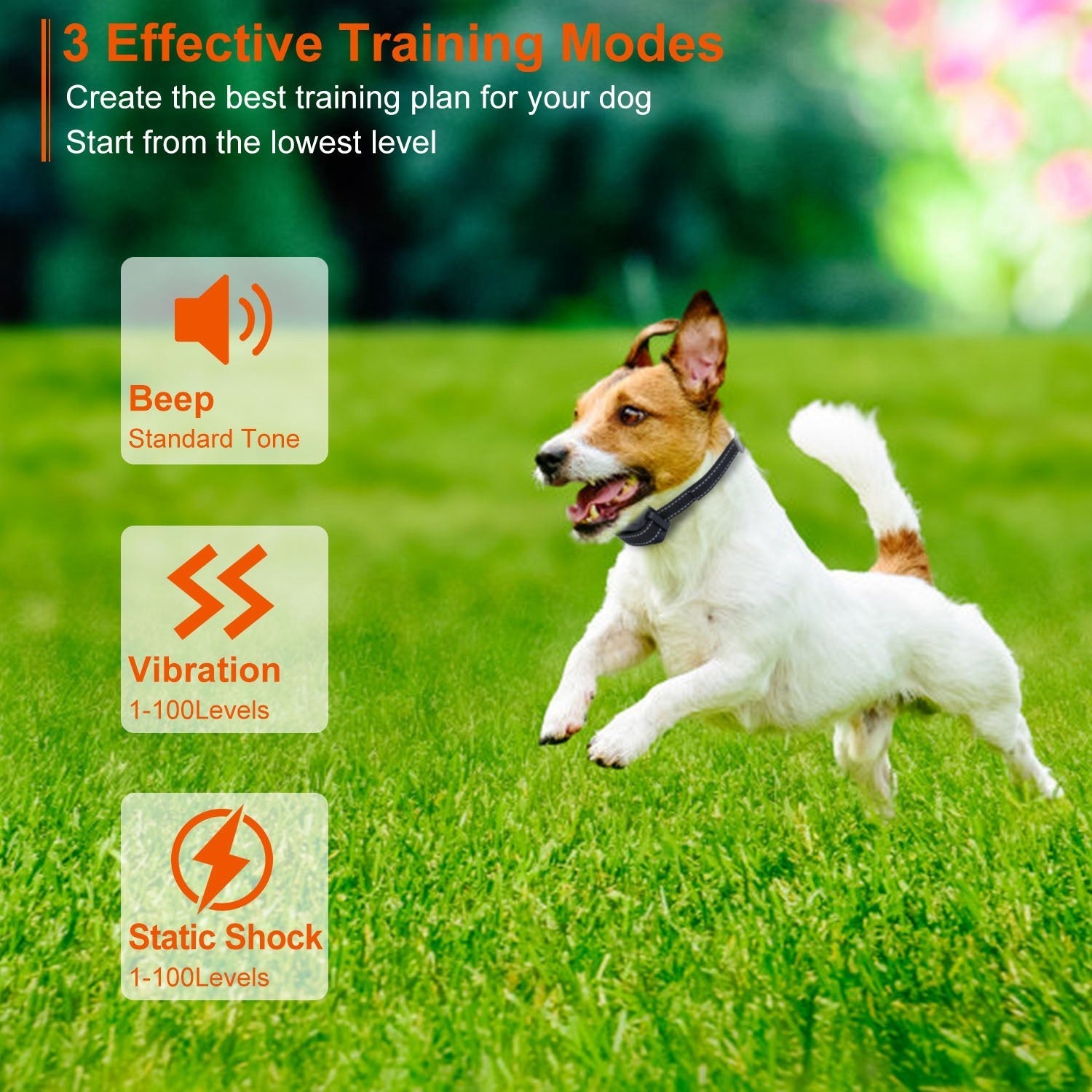 3280FT Dog Training Collar IP67 Waterproof Pet Beep Vibration Electric Shock Collar 3 Channels Rechargeable Transmitter Receiver Trainer with Flashlig - Majestic Pet Kingdom