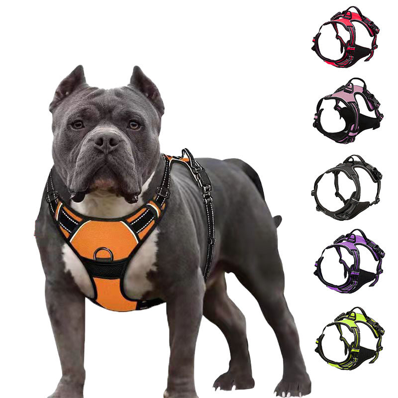 Dog Leash Heavy Duty Nylon Walking Lead with Padded Handle - Detail Angle 2 | Majestic Pet Kingdom