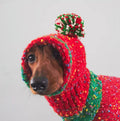 Pet Product - Premium Pet Accessory