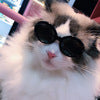 Luxury Pet Essentials - Purrfect Pet Kingdom™