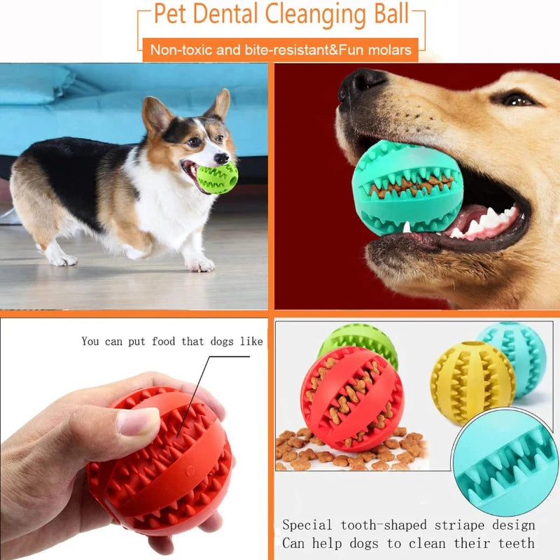 Interactive Dog Toy Ball: Rubber Food Treat Feeder