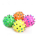 Interactive Rolling Bouncing Pet Toy Ball