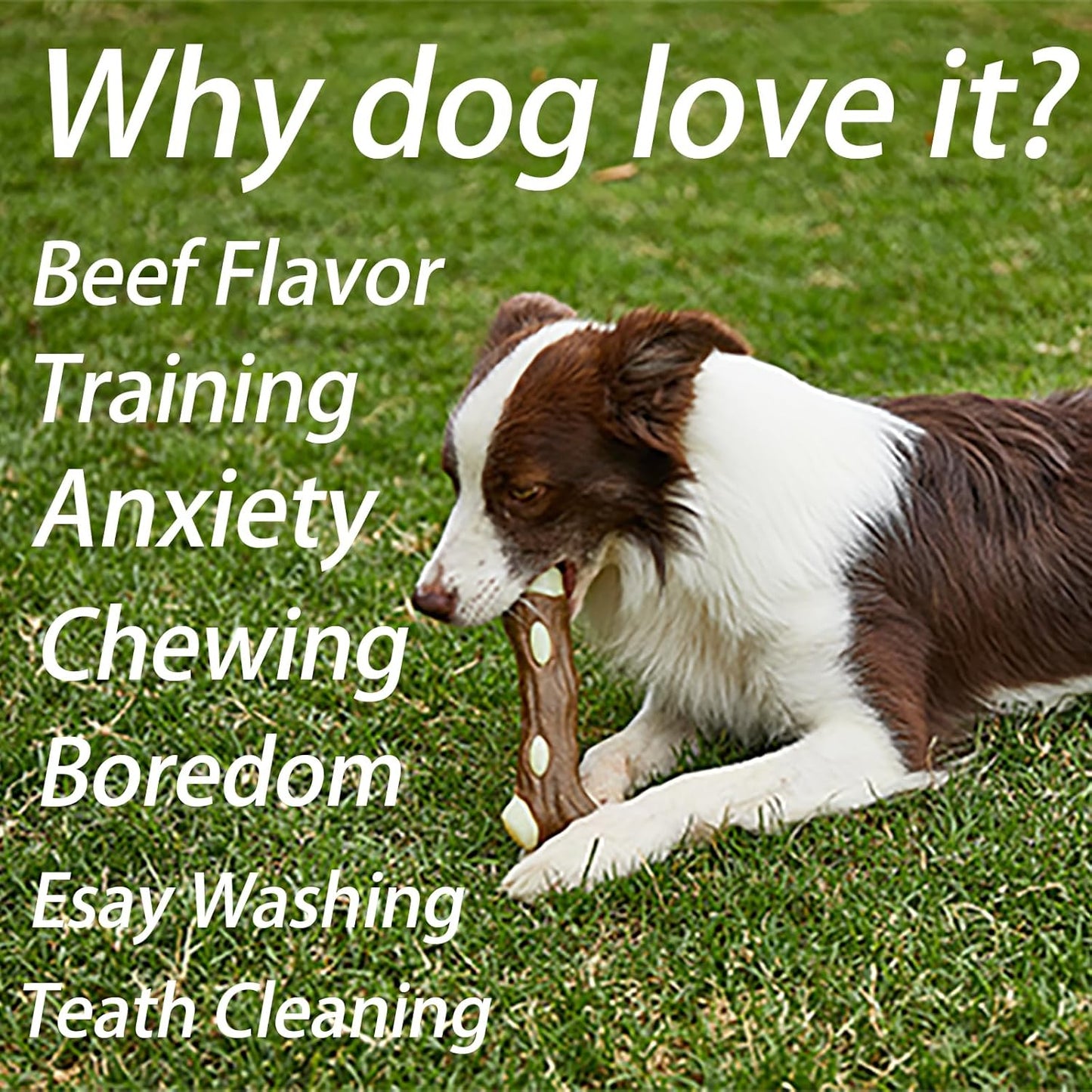 Dog Chew Toy Real Beef Flavored Indestructible Rubber Bone - Detail Angle 4 | Majestic Pet Kingdom