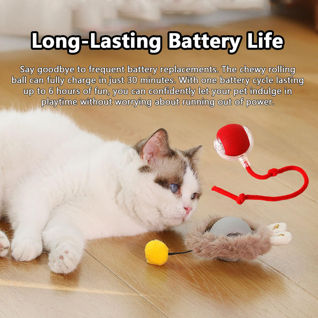 Automatic Dog Ball: Interactive USB Smart Rolling Toy