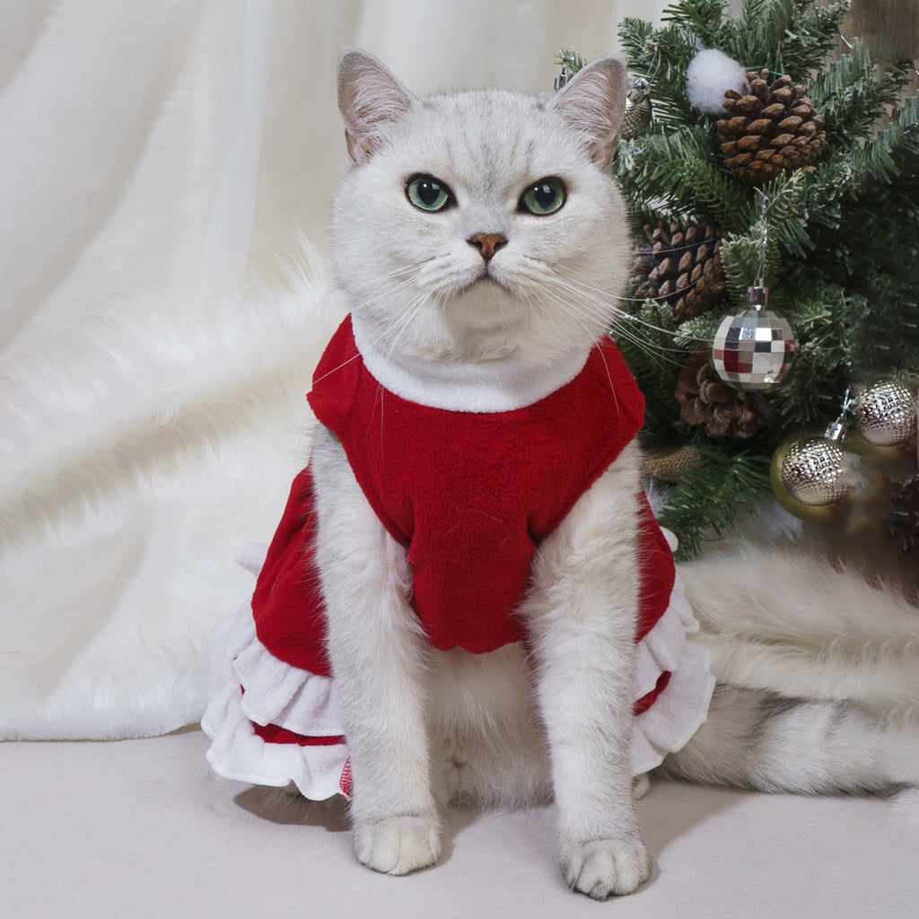 Pet Product - Premium Pet Accessory