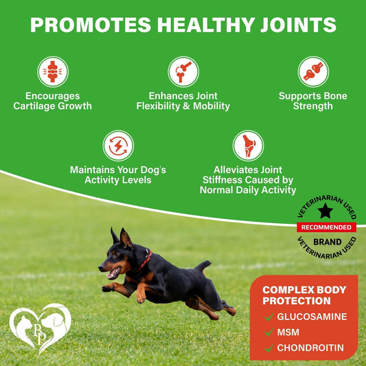 Dog Joint Chews Glucosamine Chondroitin Turmeric MSM Softs