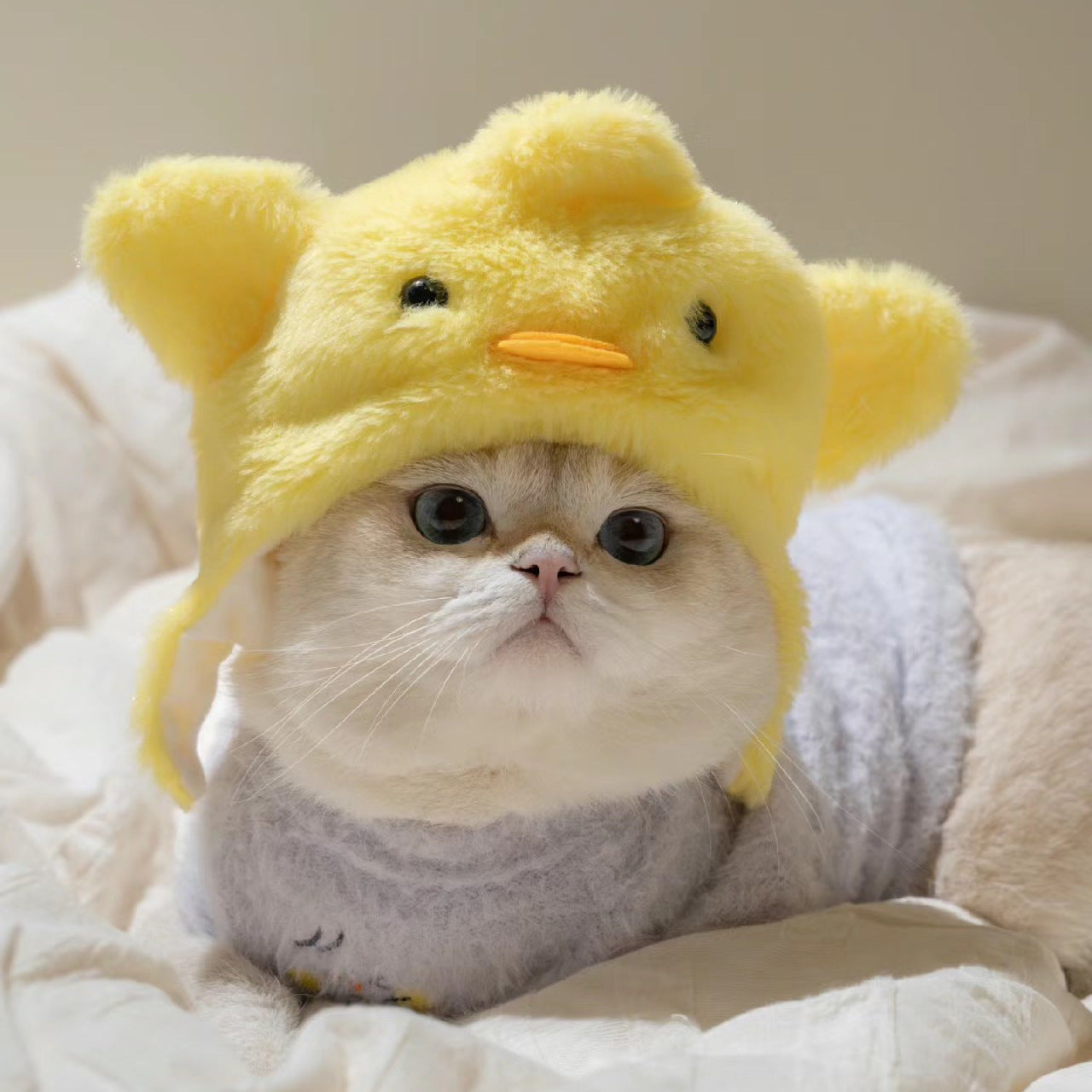 Cute Casual Winter Pet Hooded Hat