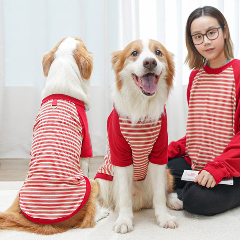 Pet Product - Premium Pet Accessory