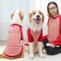 Pet Product - Premium Pet Accessory