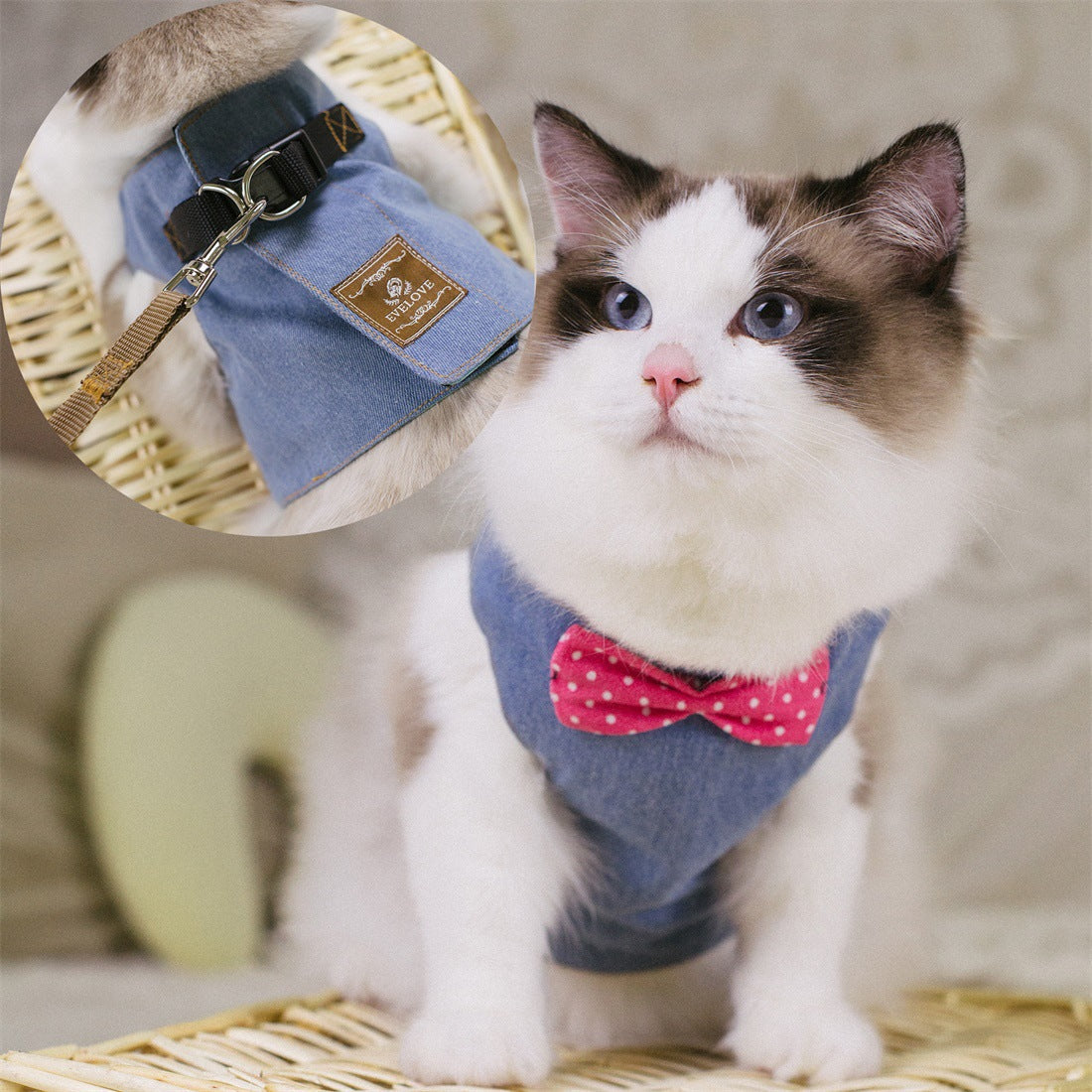 Cute Cat's Chest Back Traction Rope Clothes
