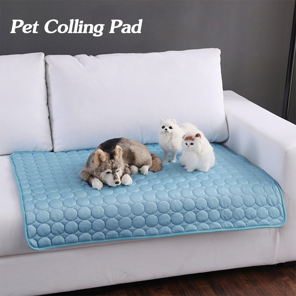 Pet Product - Premium Pet Accessory