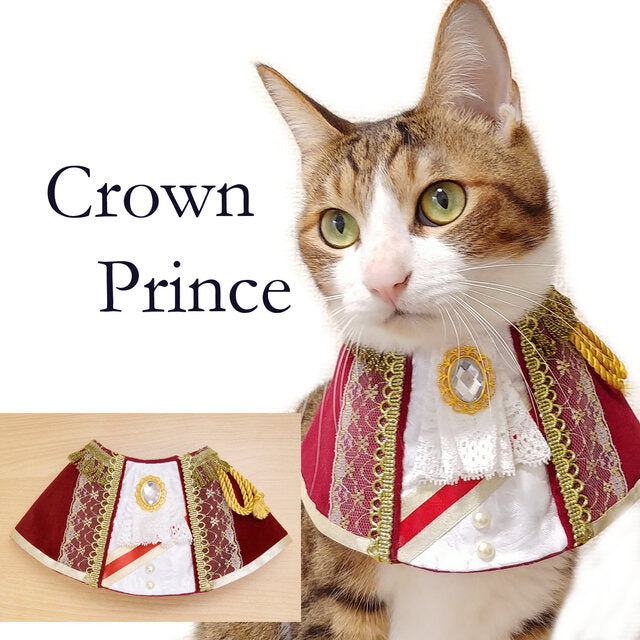 Pet Supplies Cat Decoration Bib Handsome And Funny Accessories - Majestic Pet Kingdom
