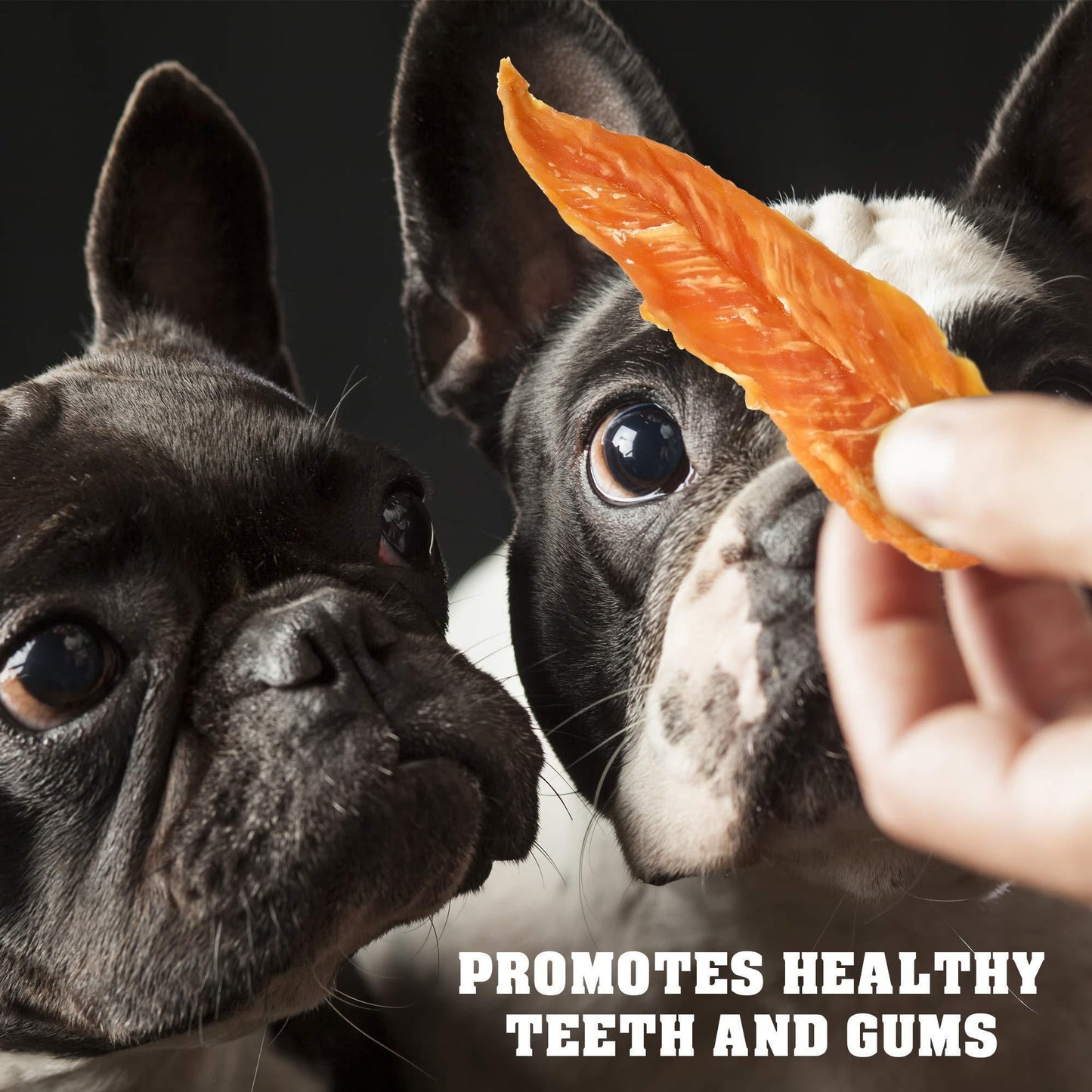 Chicken Jerky Dog Treats - Human-Grade & Grain-Free 1.5lb