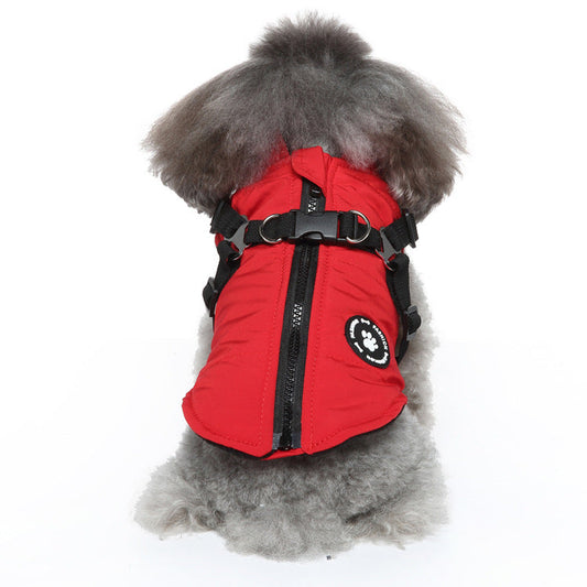 Pet Product - Premium Pet Accessory