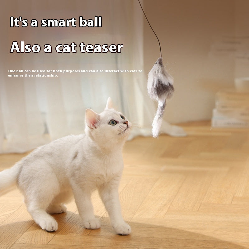 Automatic Intelligent Moving Mouse Teaser Ball