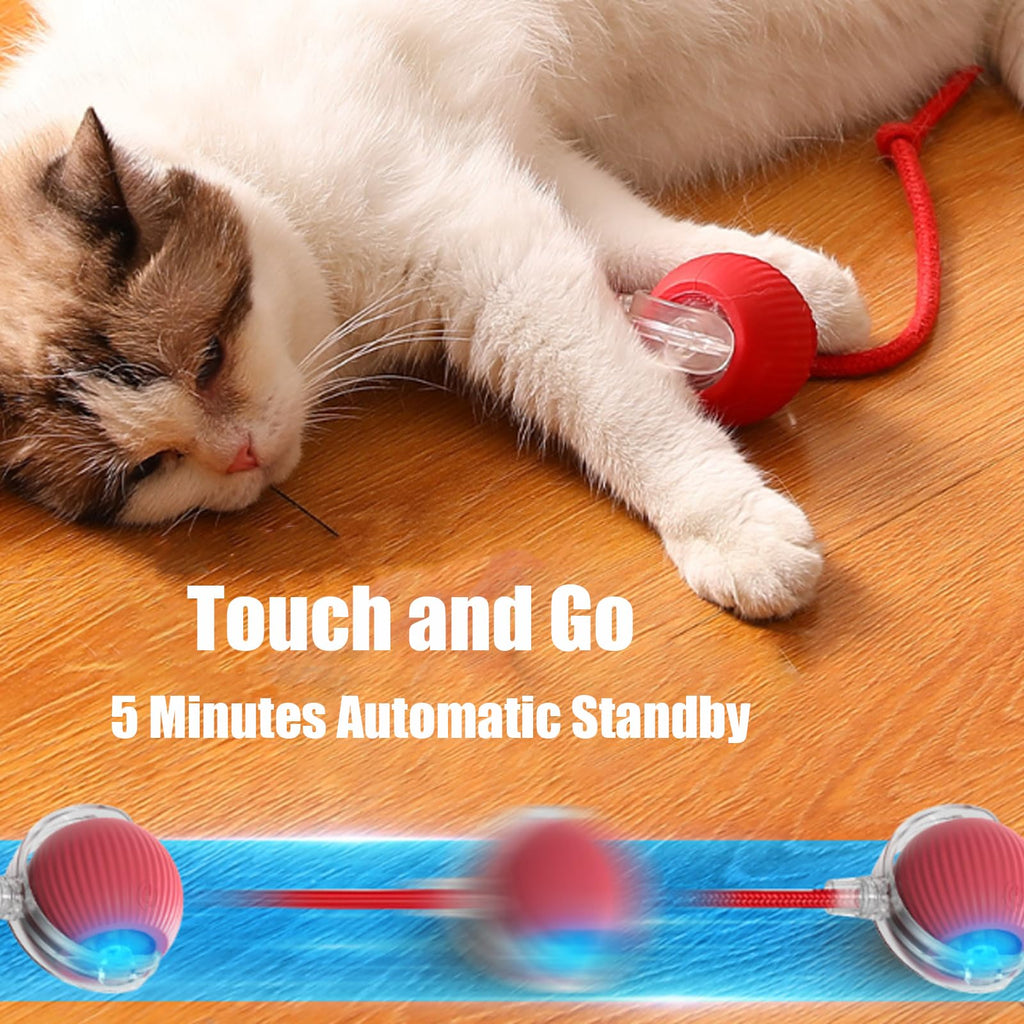 Automatic Dog Ball: Interactive USB Smart Rolling Toy
