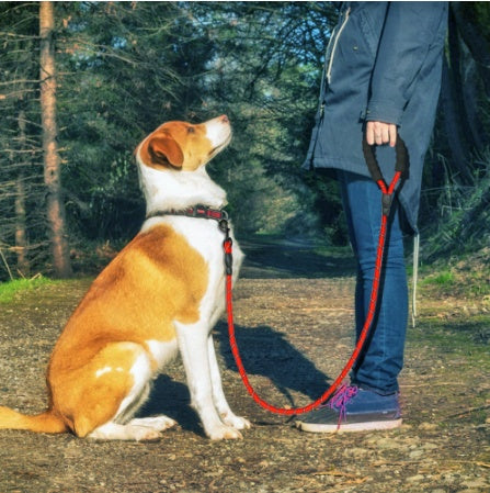 Reflective Dog Leash Nylon Pet Dog Leash Rope For Small Medium Large | Majestic Pet Kingdom™
