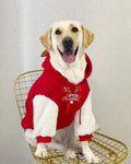 Pet Product - Premium Pet Accessory