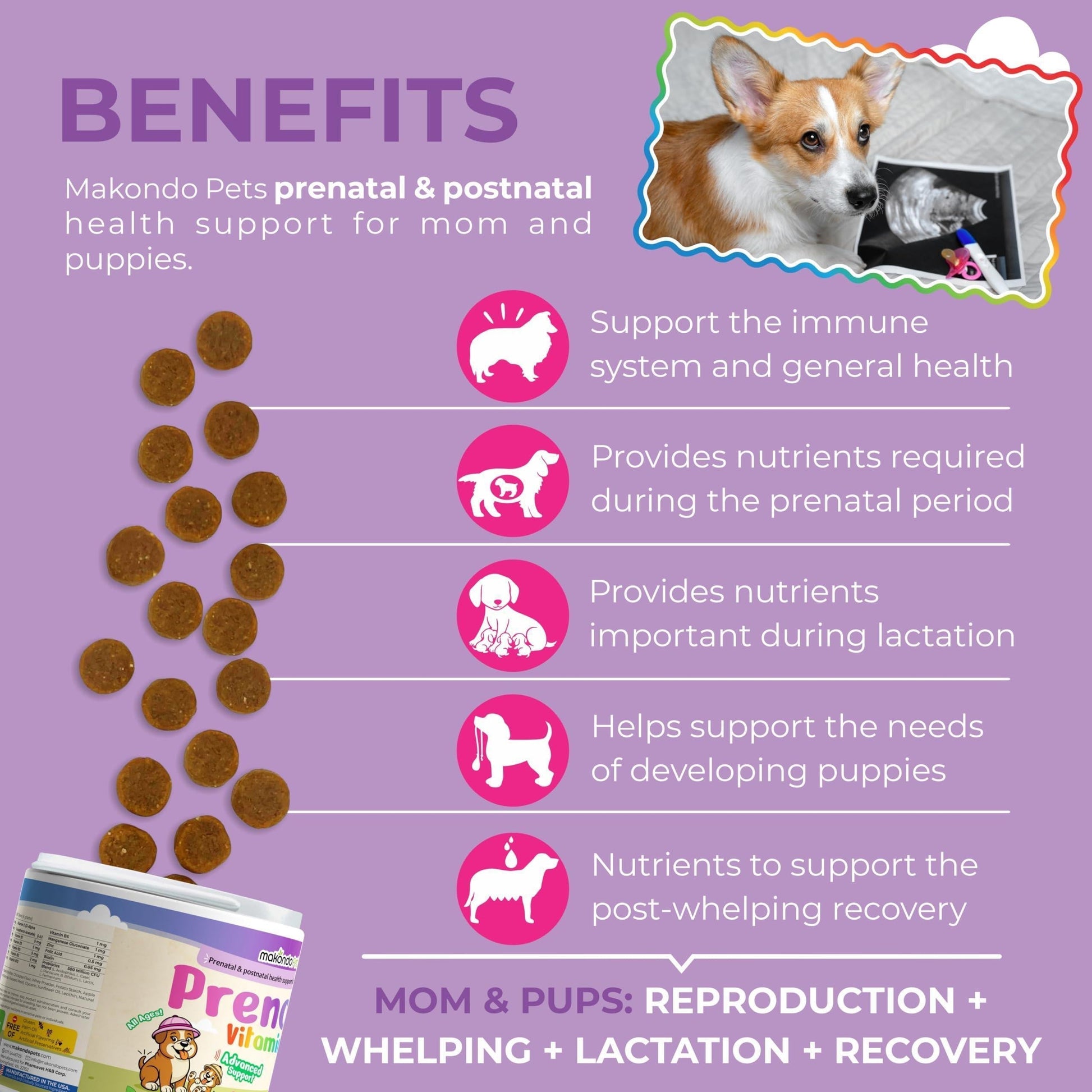 Dog Prenatal Vitamins Folic Acid DHA Soft Chews 120 Count - Detail Angle 2 | Majestic Pet Kingdom