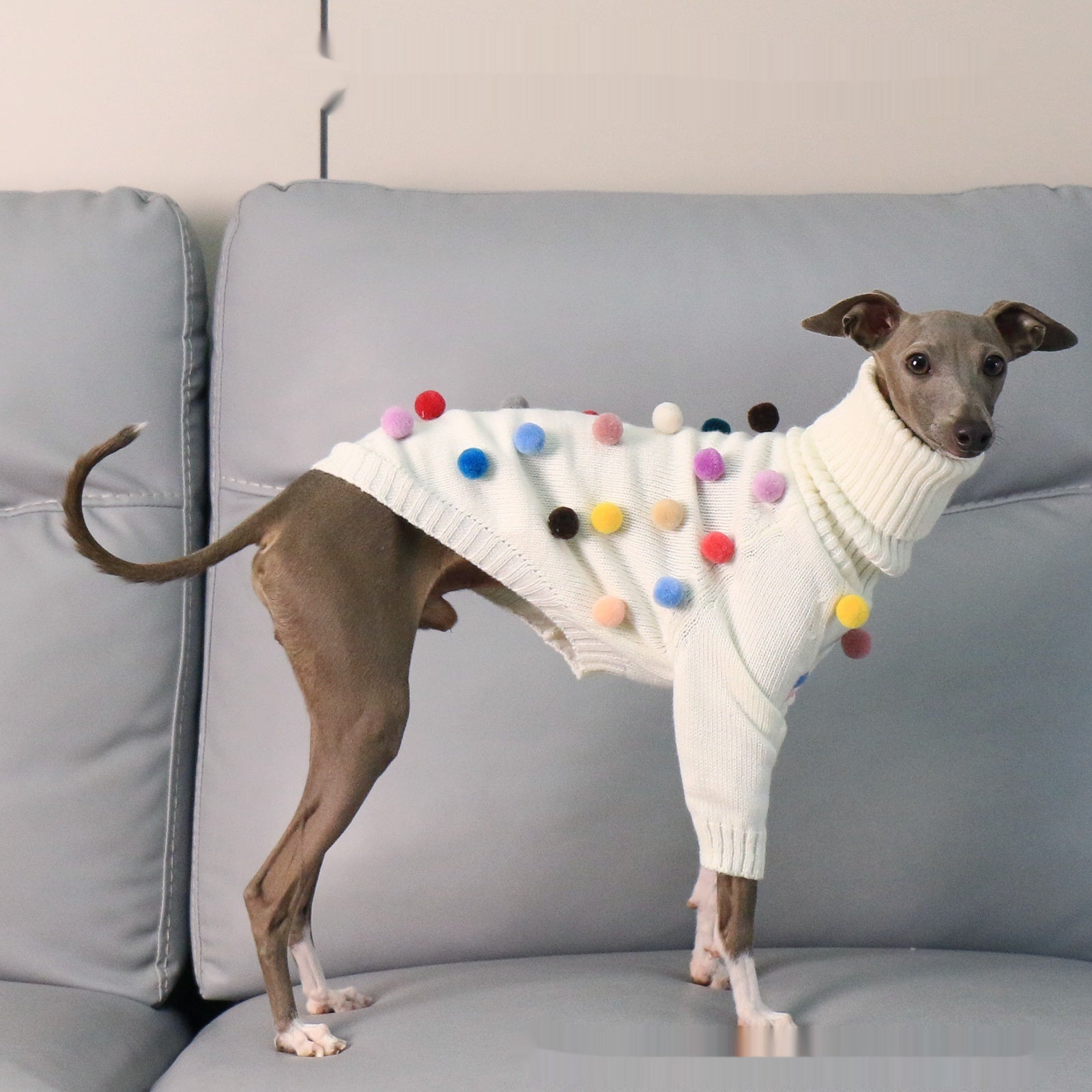 New Italian Greyhound Whippet Christmas Sweater - Premium Pet Accessory