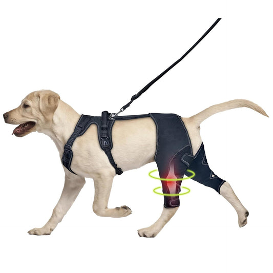pet-leg-support-dog-knee-brace-post-surgery-rehabilitation-knee-support-joint-protection-bage-luxury-view-1 | Majestic Pet Kingdom