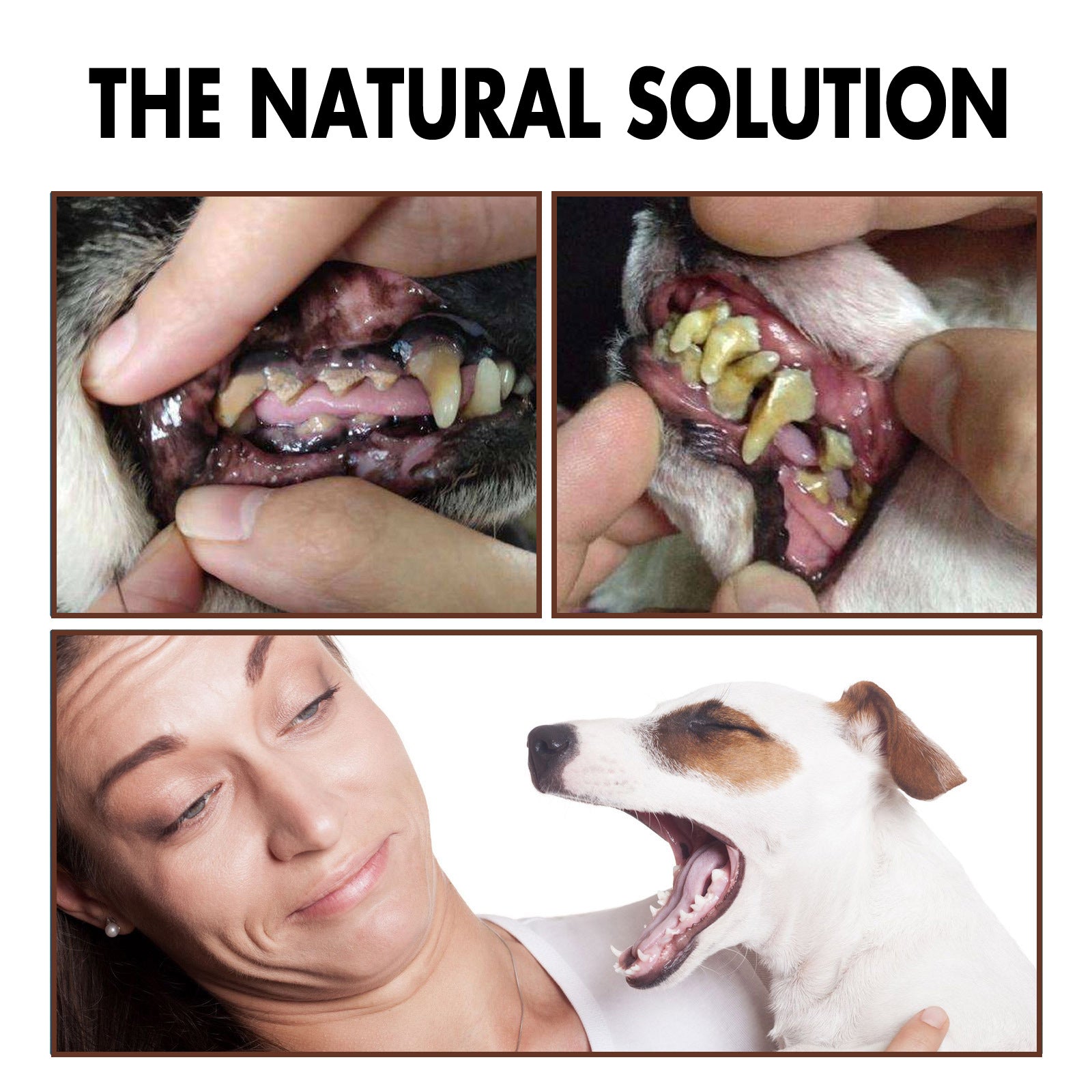 Pet Tartar Removal Spray: Bad Breath & Dental Care Spray