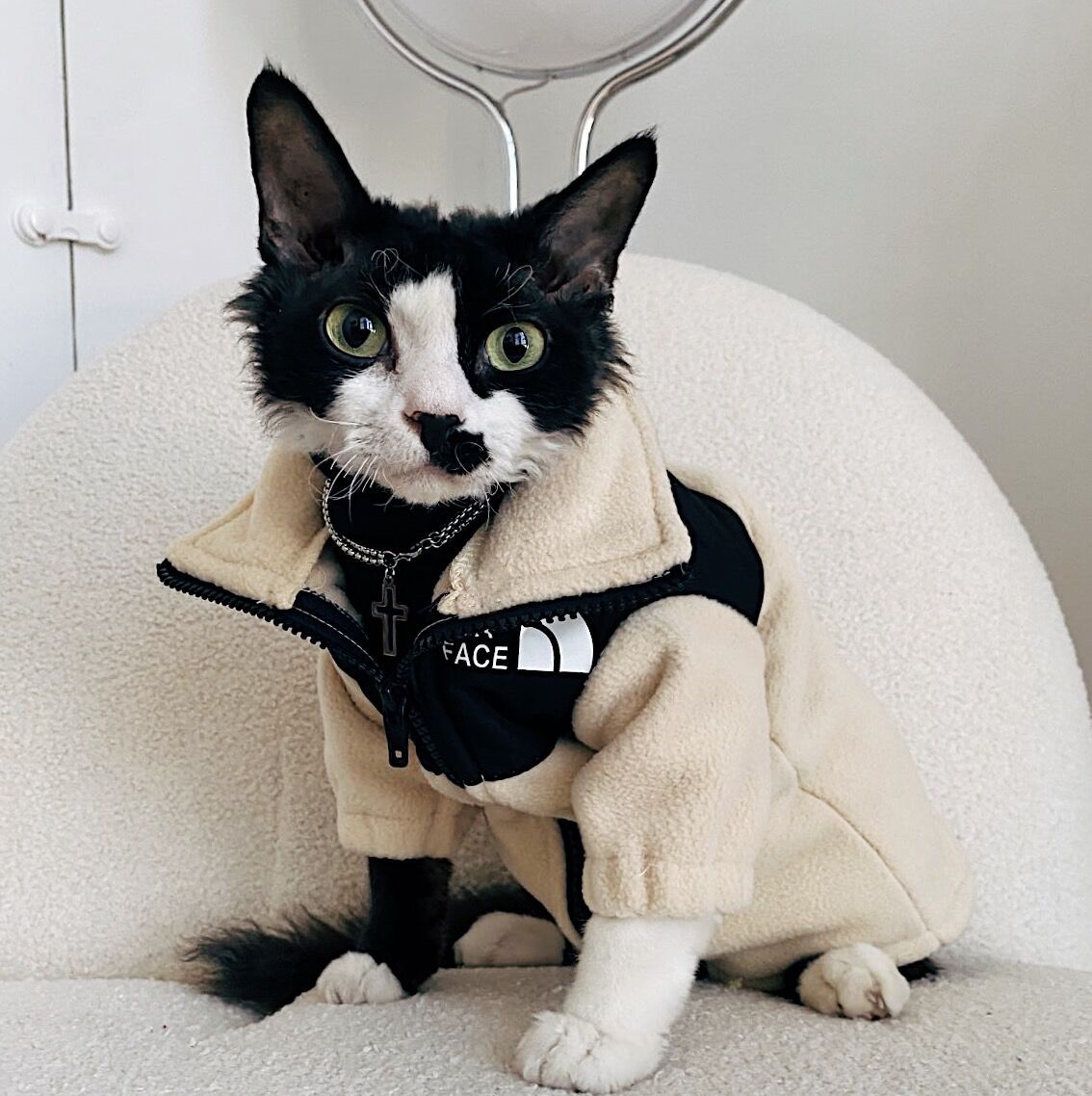 Hairless Cat Clothes Warm Pet Cat Clothes - Majestic Pet Kingdom