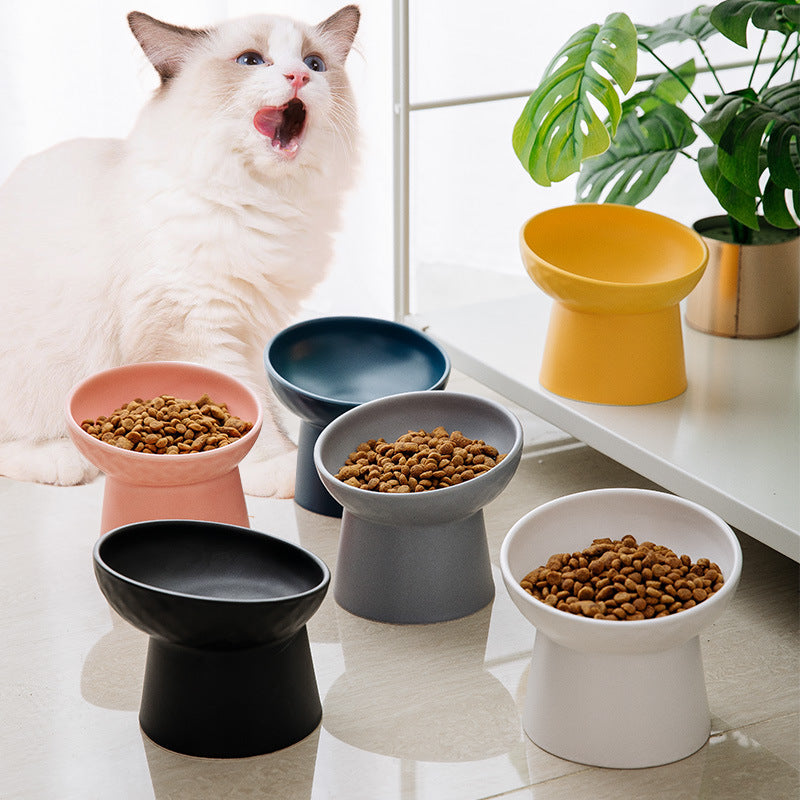 Oblique Mouth High Foot Candy Color Cat Bowl - Majestic Pet Kingdom
